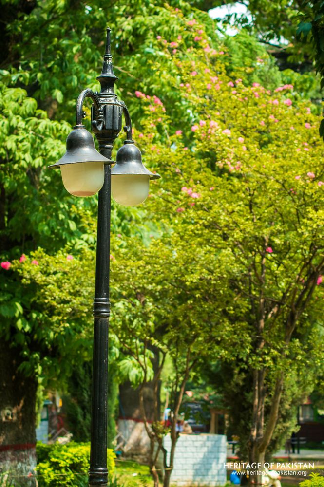 Vintage lamp post anchors garden pathways amid vibrant blooms.
